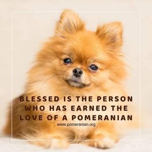 Meet your Posher, Patsy